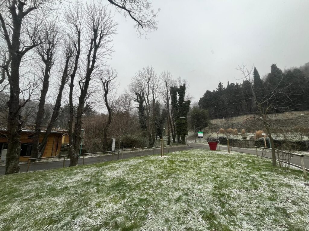 neve trieste
