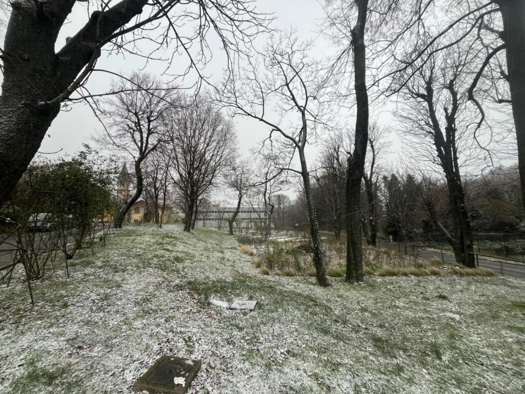 neve trieste