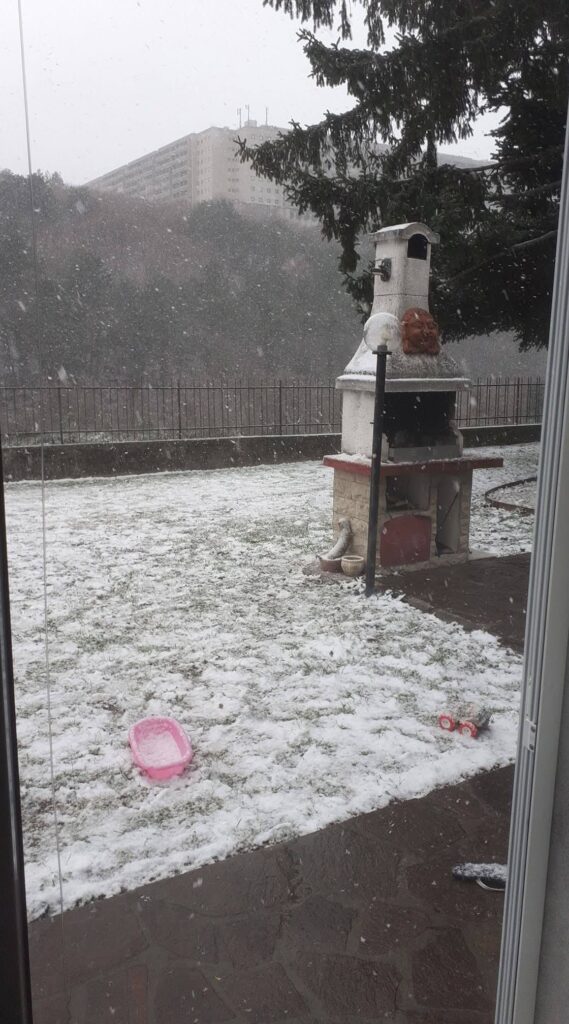 neve trieste carso