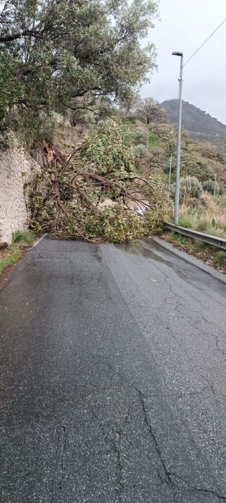 maltempo reggio calabria 17 febbraio 2026