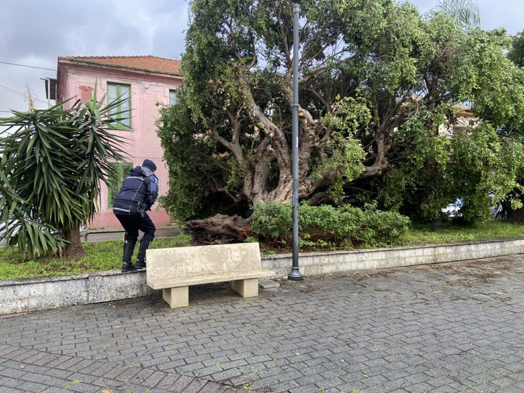 maltempo reggio calabria 17 febbraio 2026