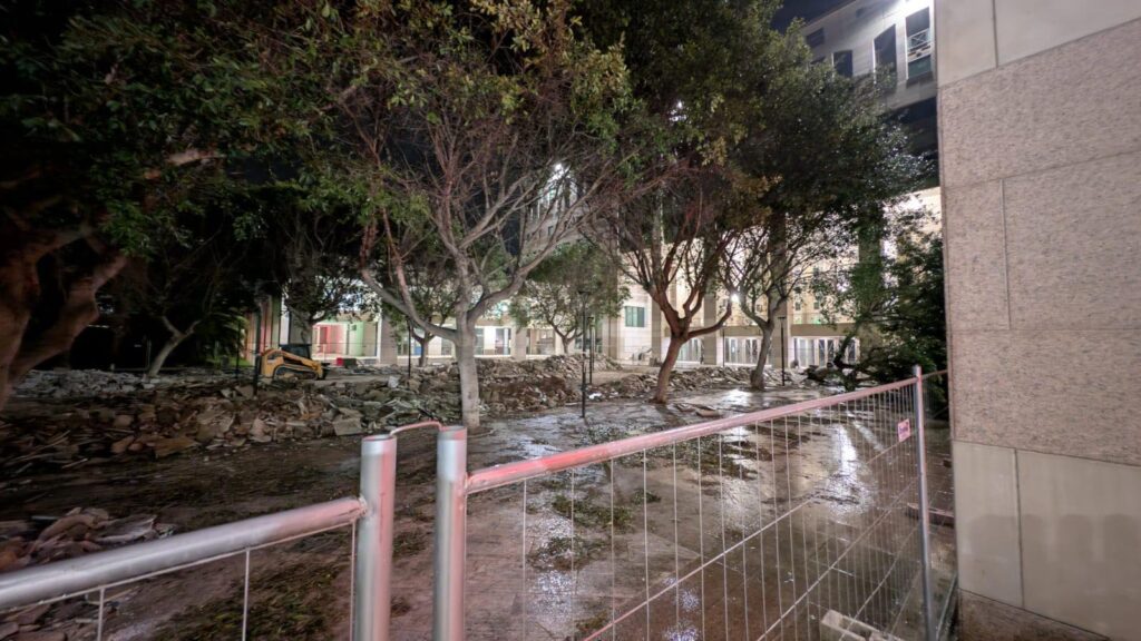 Albero Cedir Reggio Calabria