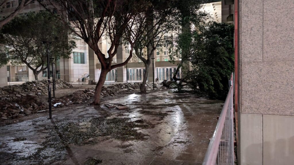 Albero Cedir Reggio Calabria