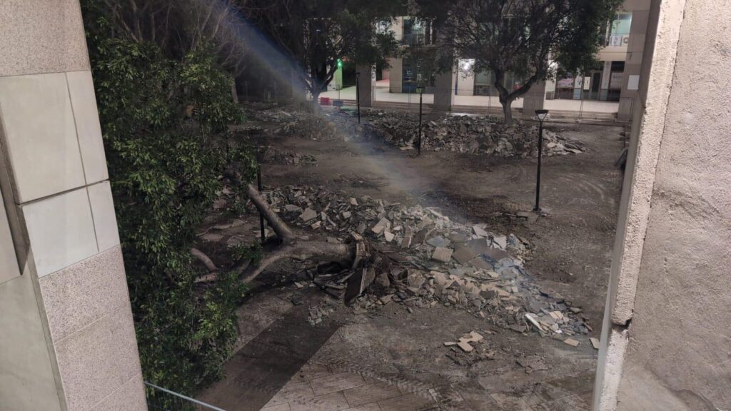 Albero Cedir Reggio Calabria