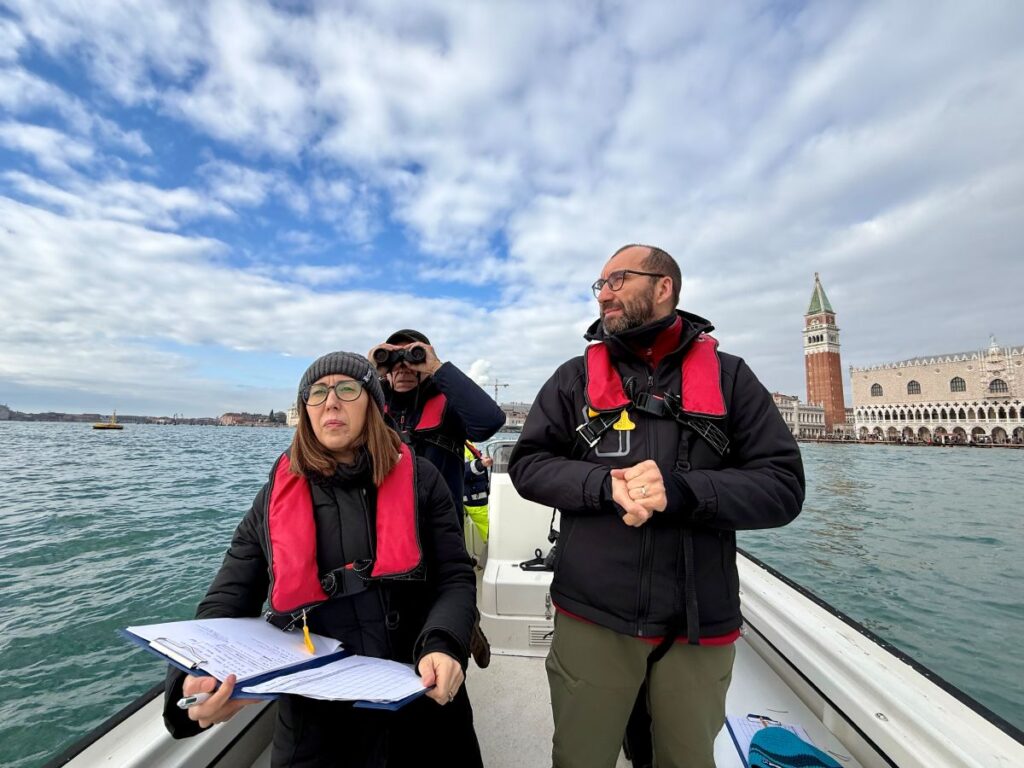 Delfino Venezia
