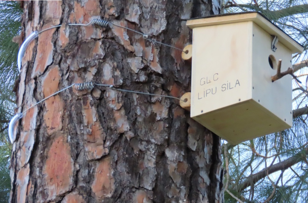 Biodiversità Sila