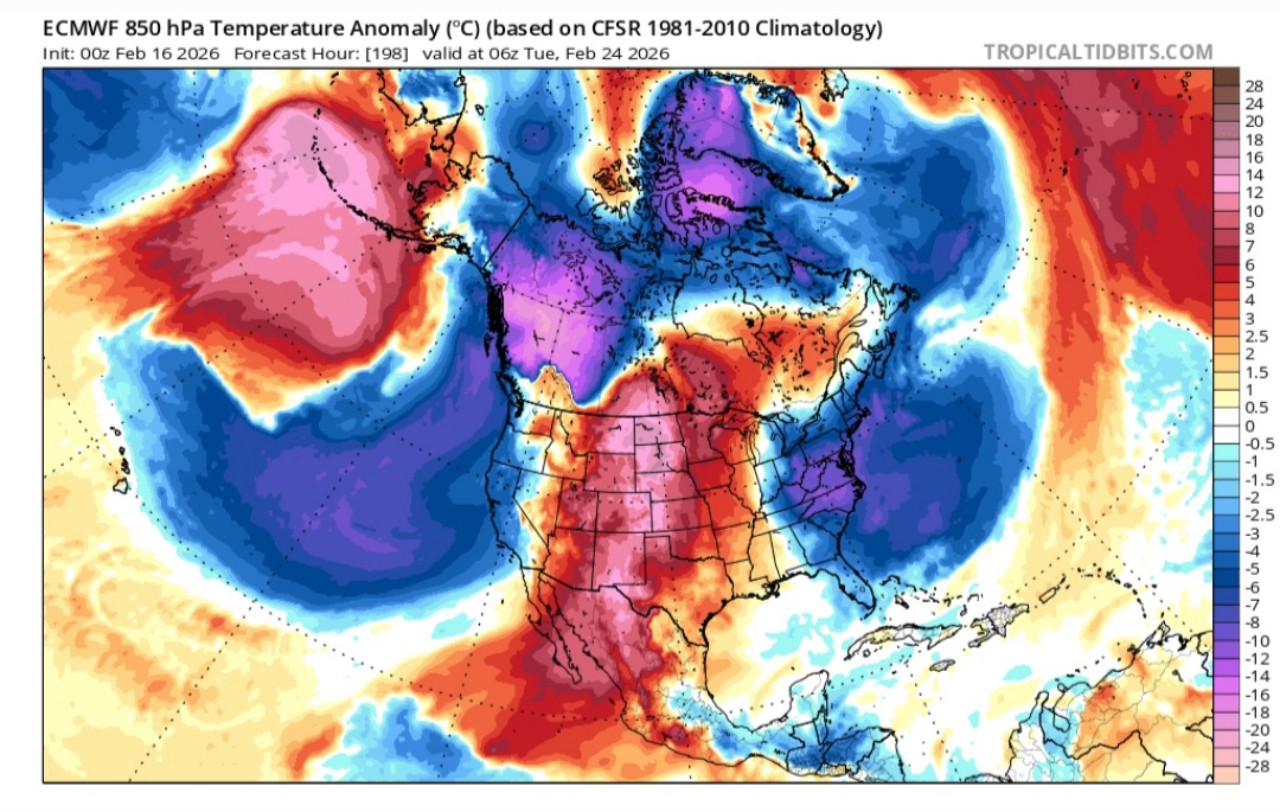 Irruzione artica Sud-Est USA