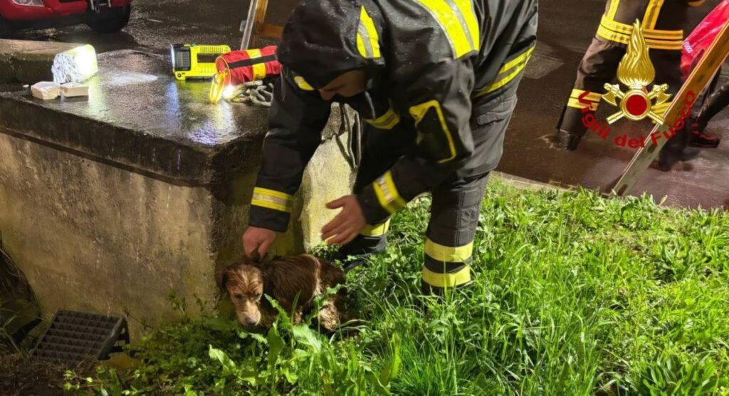 Maltempo Ascoli cane pozzo