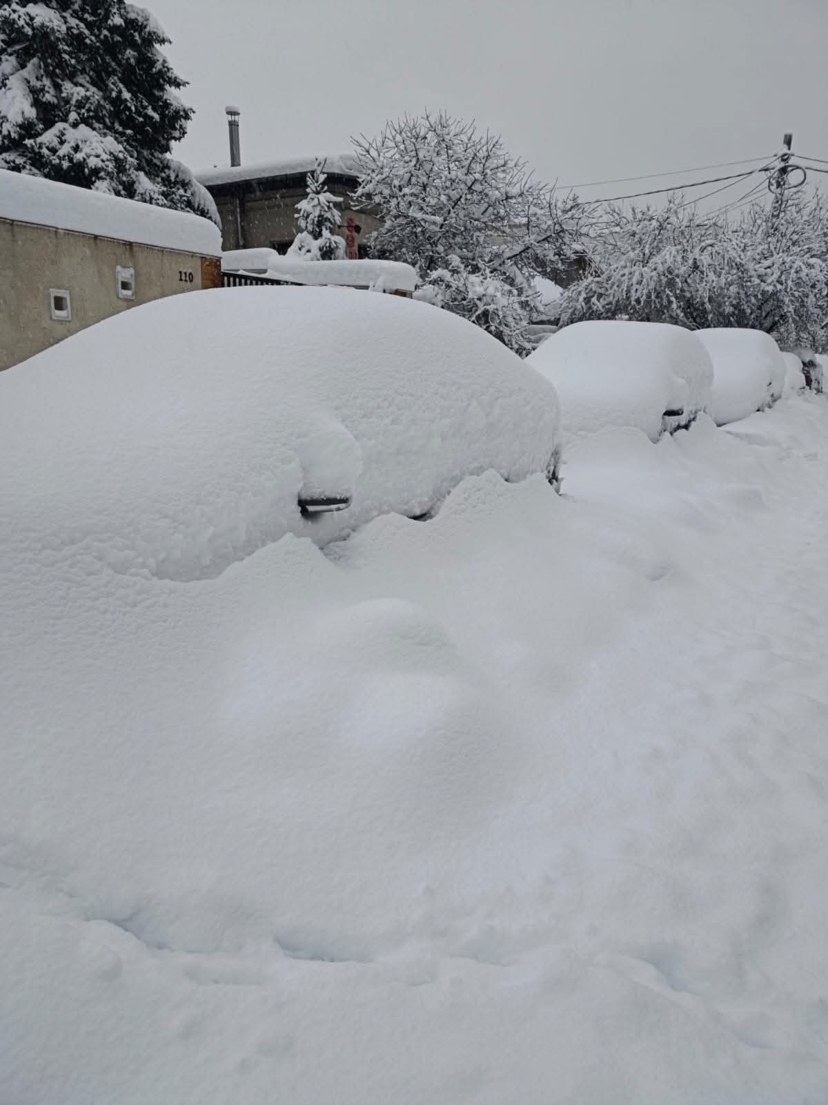 Neve Bucarest