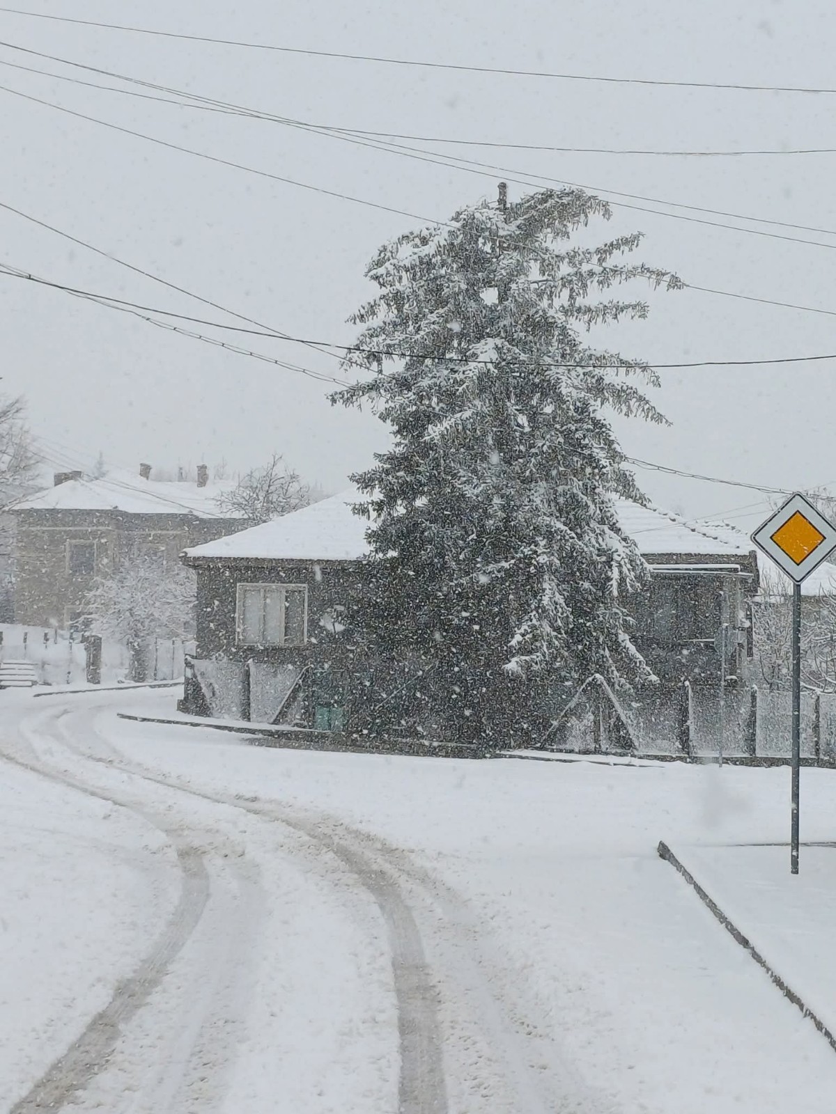 Neve Bulgaria Kula Danubio