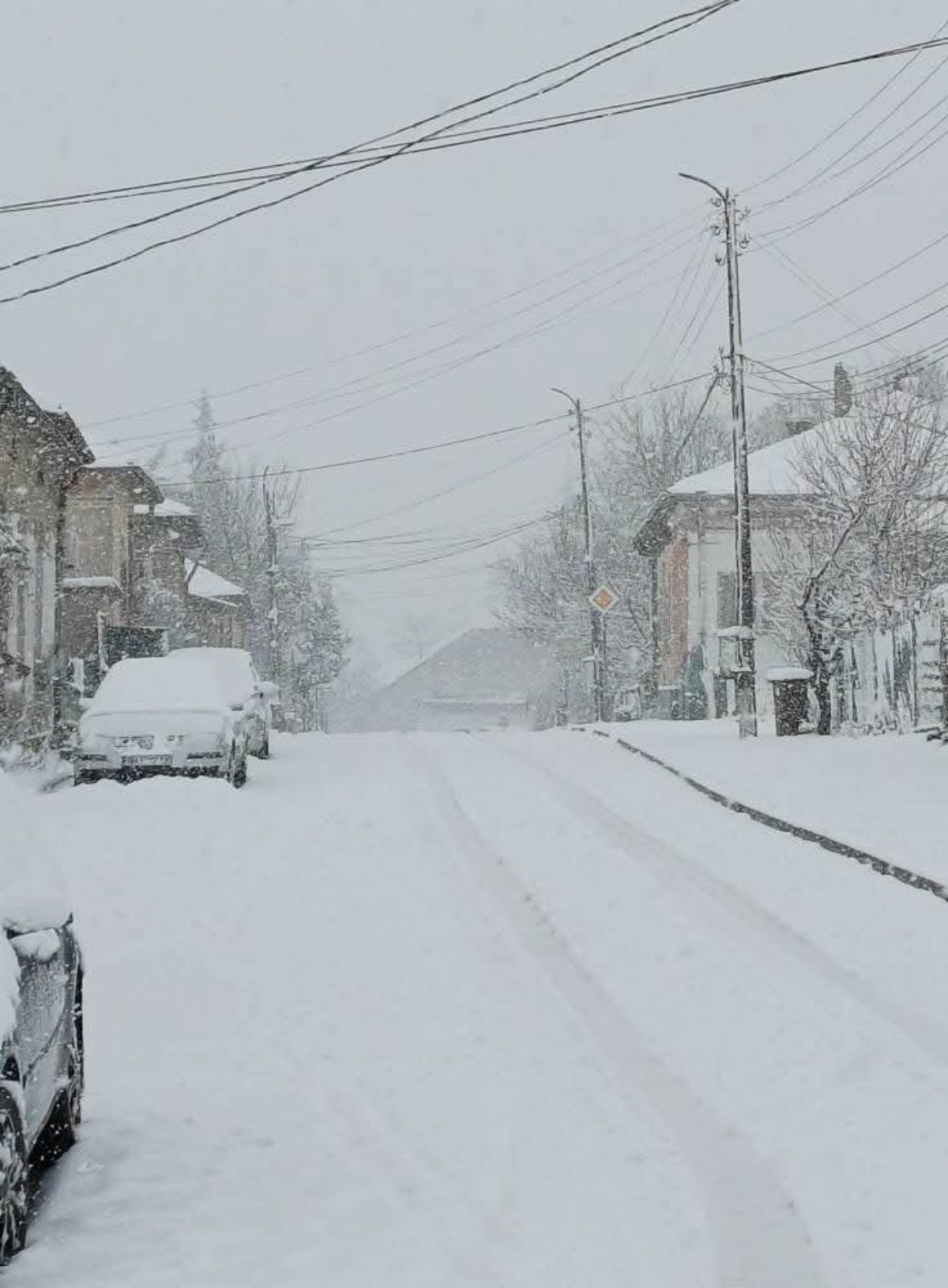 Neve Bulgaria Kula