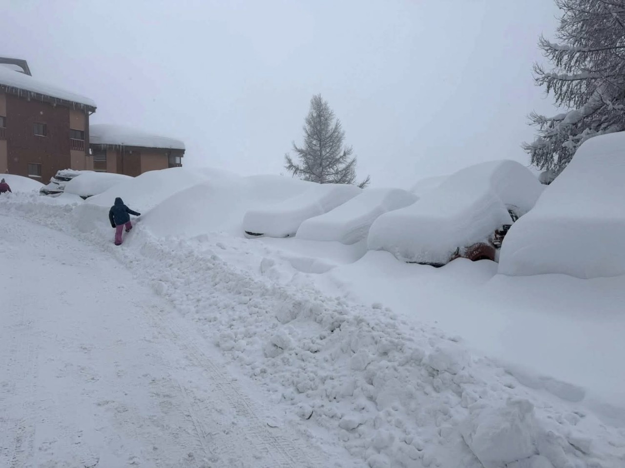 Neve Francia Savoia