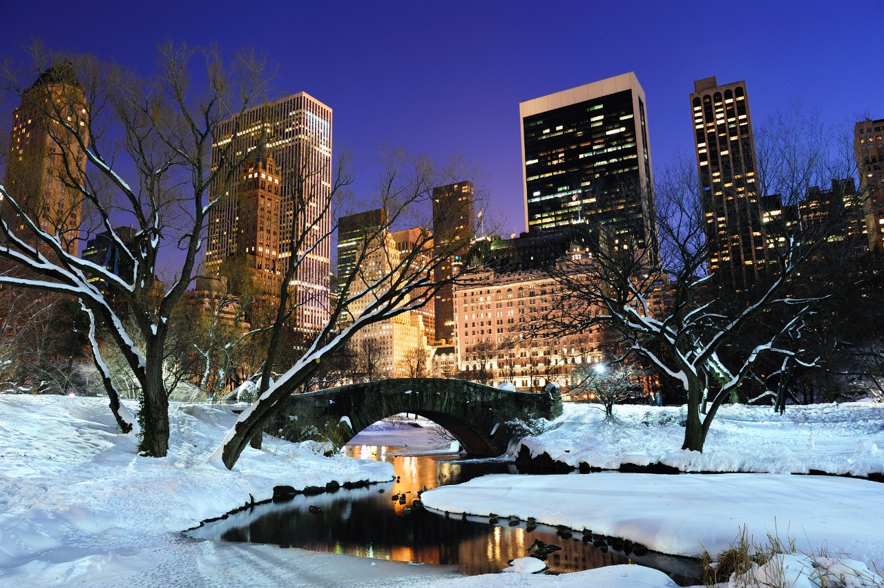 Neve New York 