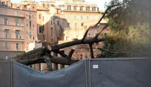 Pino fori imperiali