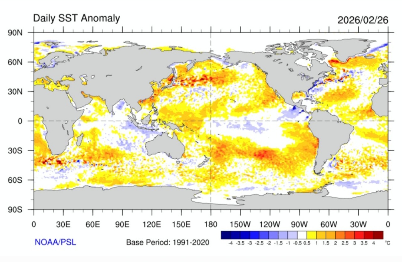 Sst oceano Pacifico 28 febbraio