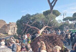 albero caduto roma