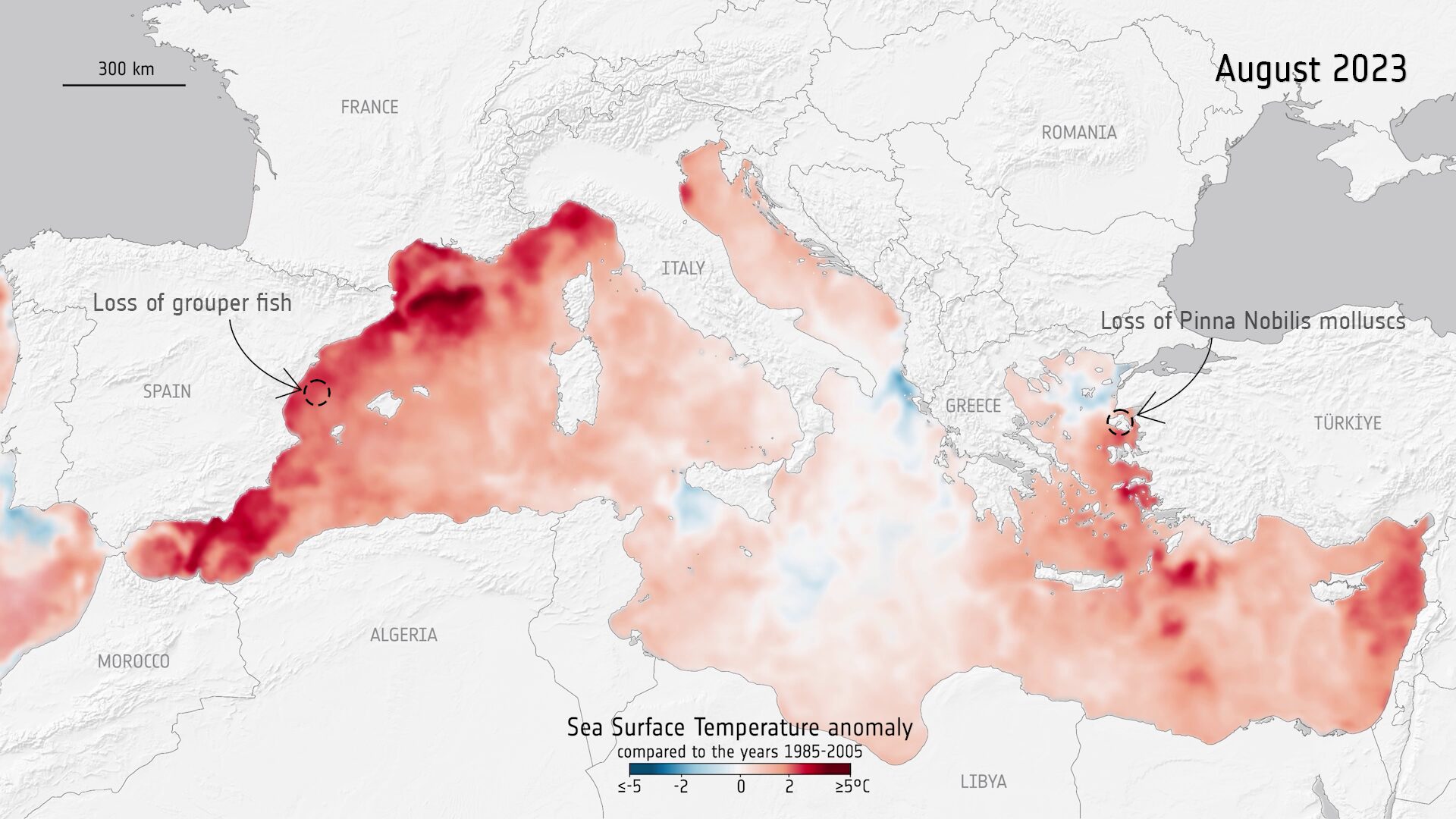 anomalie temperature mar mediterraneo