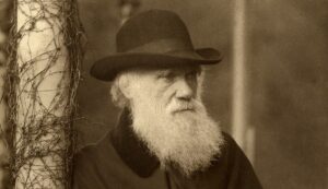 darwin