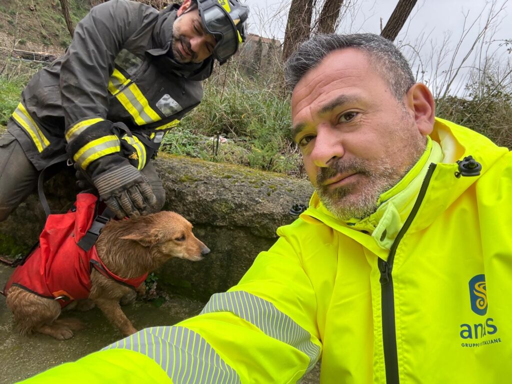 frana Tiriolo cane