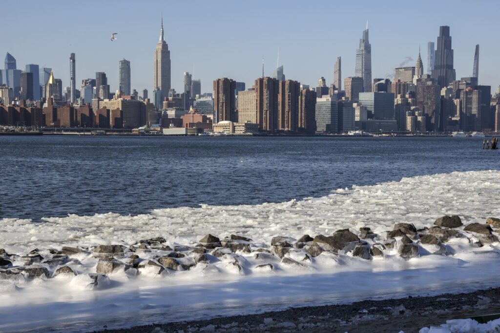freddo new york