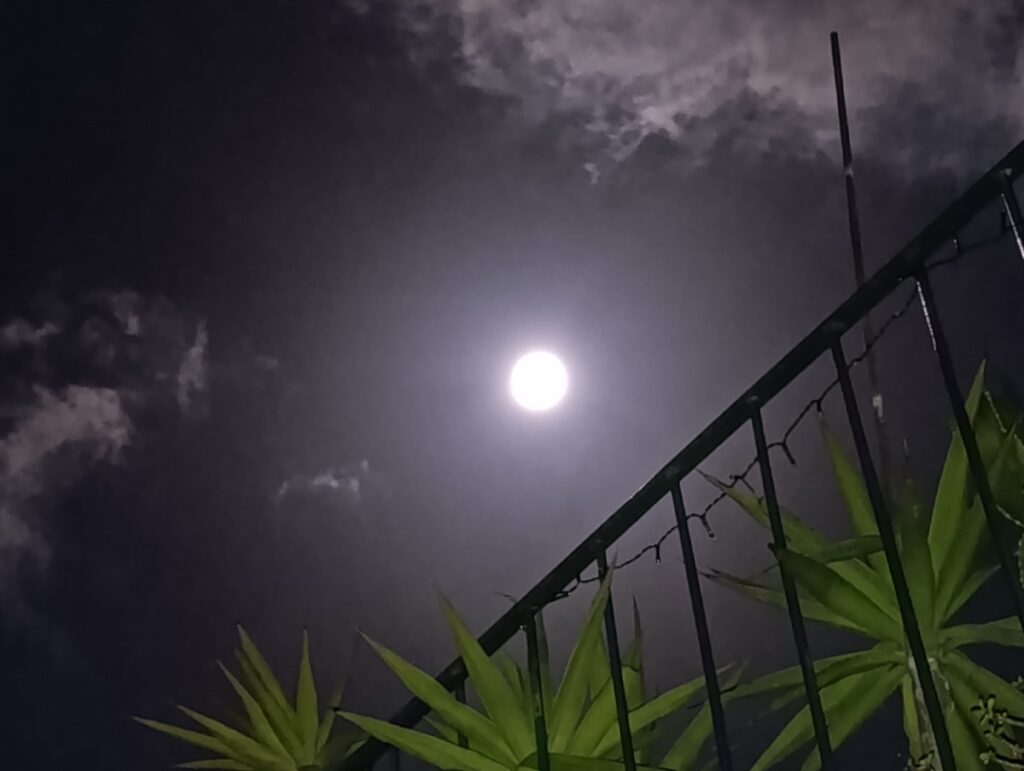 luna neve zafferana