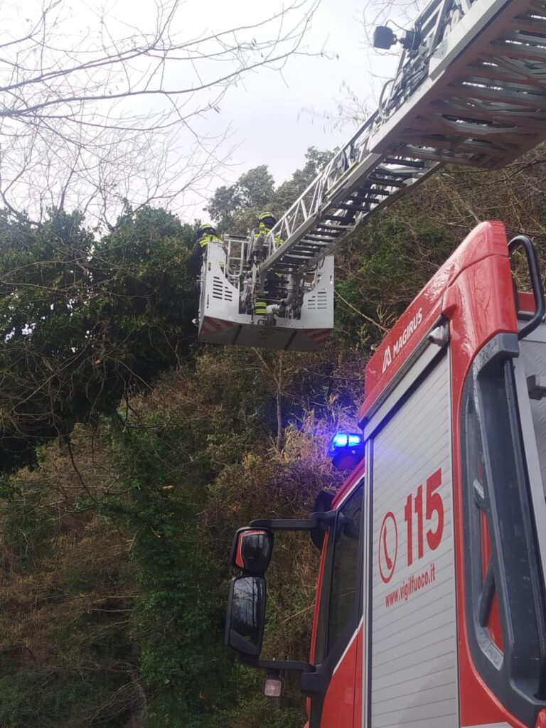 maltempo calabria