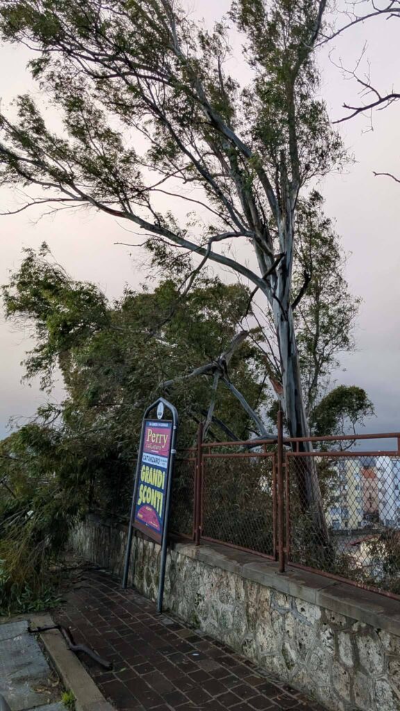 maltempo catanzaro calabria