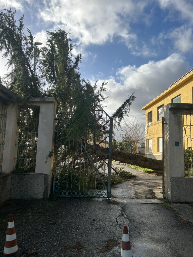 maltempo martone calabria