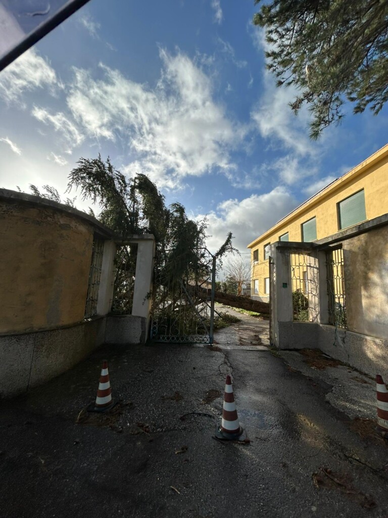maltempo martone calabria