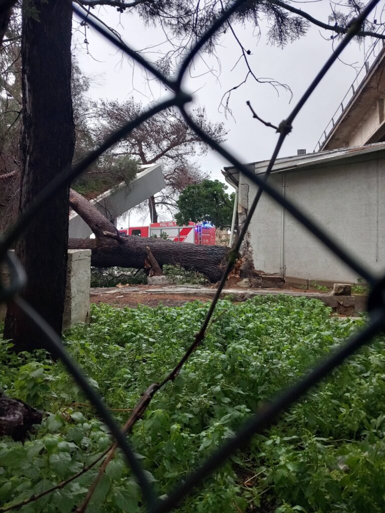 maltempo palermo sicilia