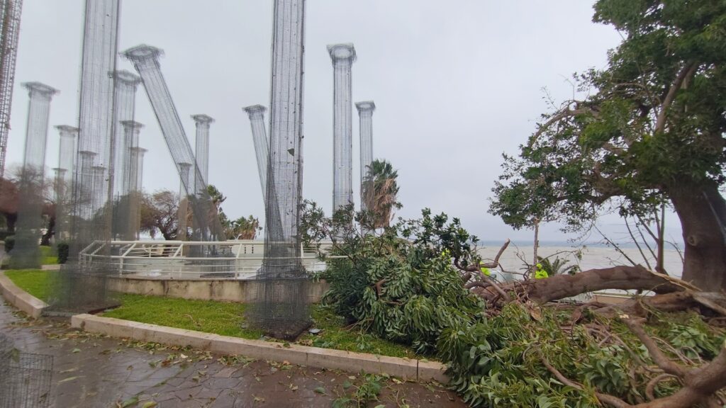 maltempo reggio calabria 17 febbraio 2026