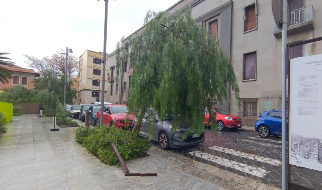 maltempo reggio calabria 17 febbraio 2026