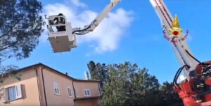 maltempo sardegna alberi vigili del fuoco