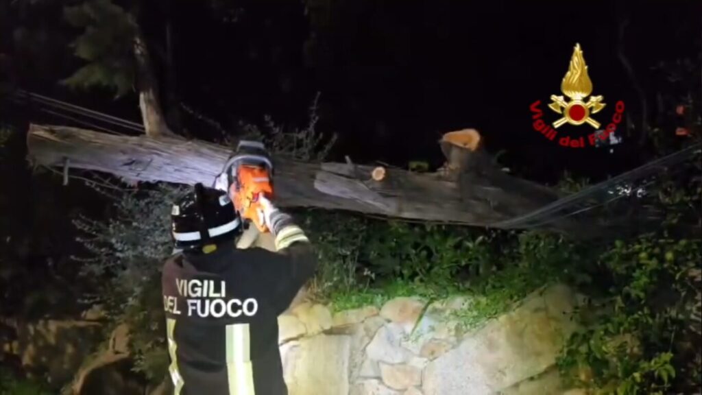maltempo vigili del fuoco alberi