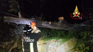 maltempo vigili del fuoco alberi