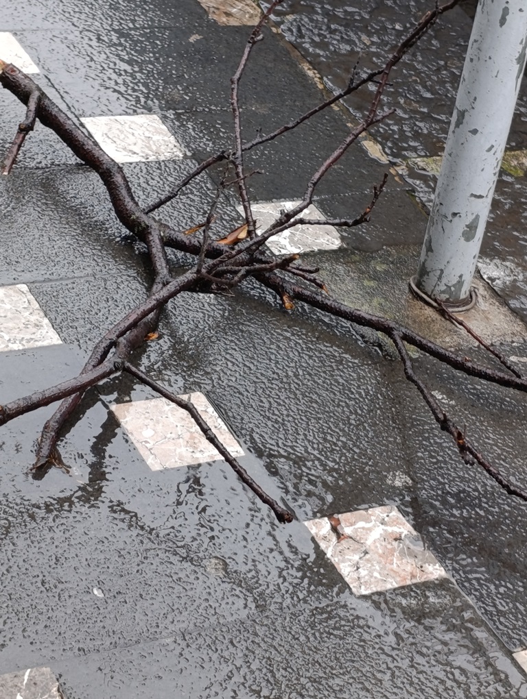 maltempo zafferana etnea