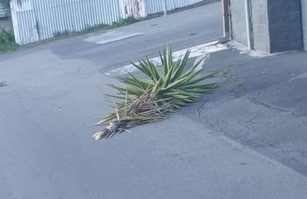 maltempo zafferana etnea trecastagni