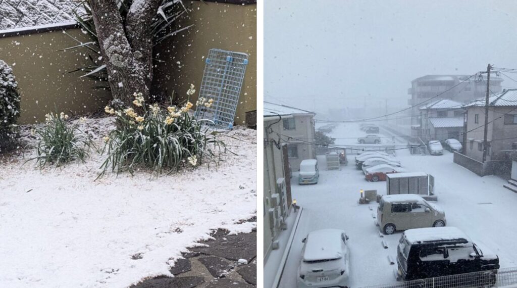 neve giappone