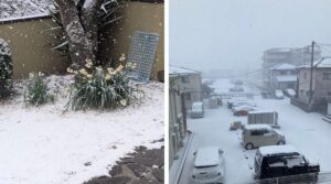 neve giappone