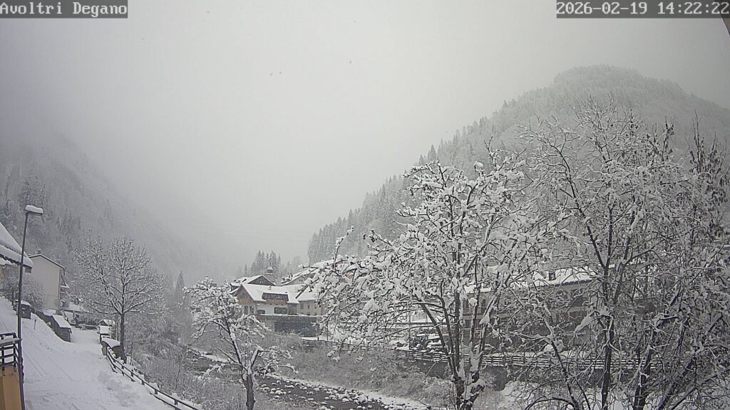 neve friuli