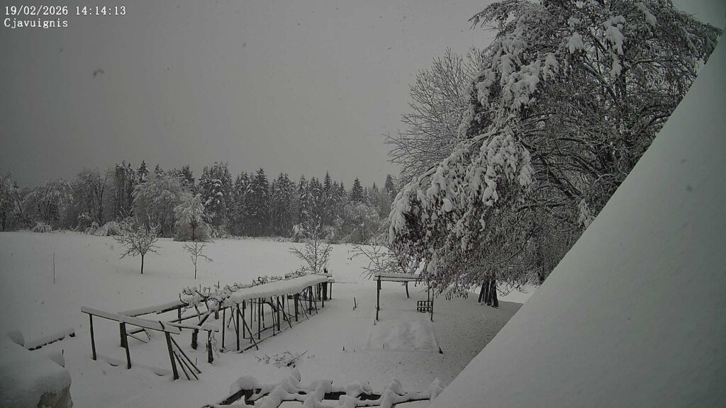 neve friuli