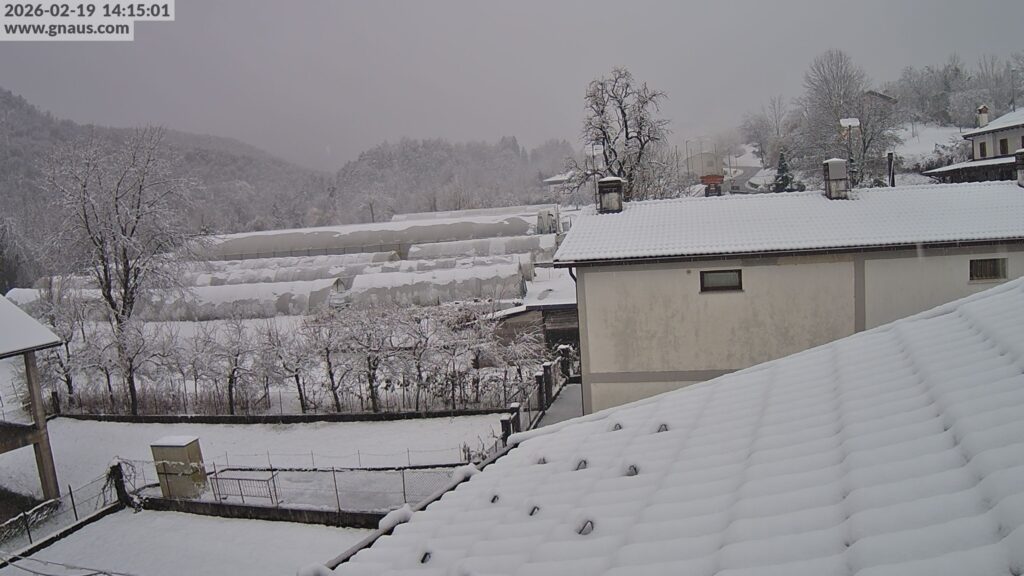 neve friuli