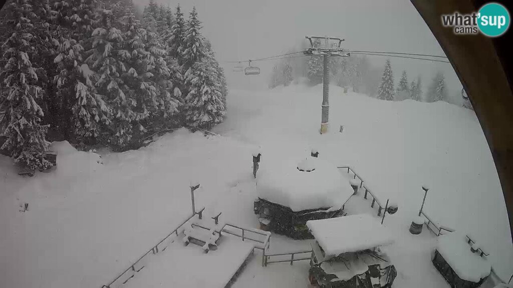 neve friuli venezia giulia