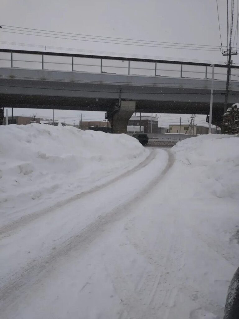 neve giappone