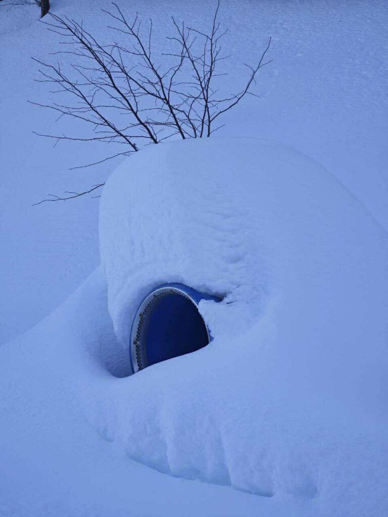 neve limone piemonte
