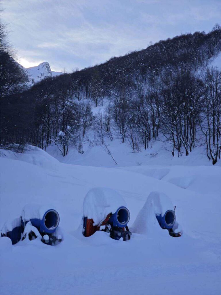 neve limone piemonte