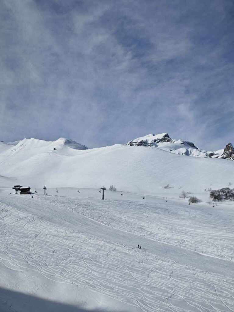 neve limone piemonte
