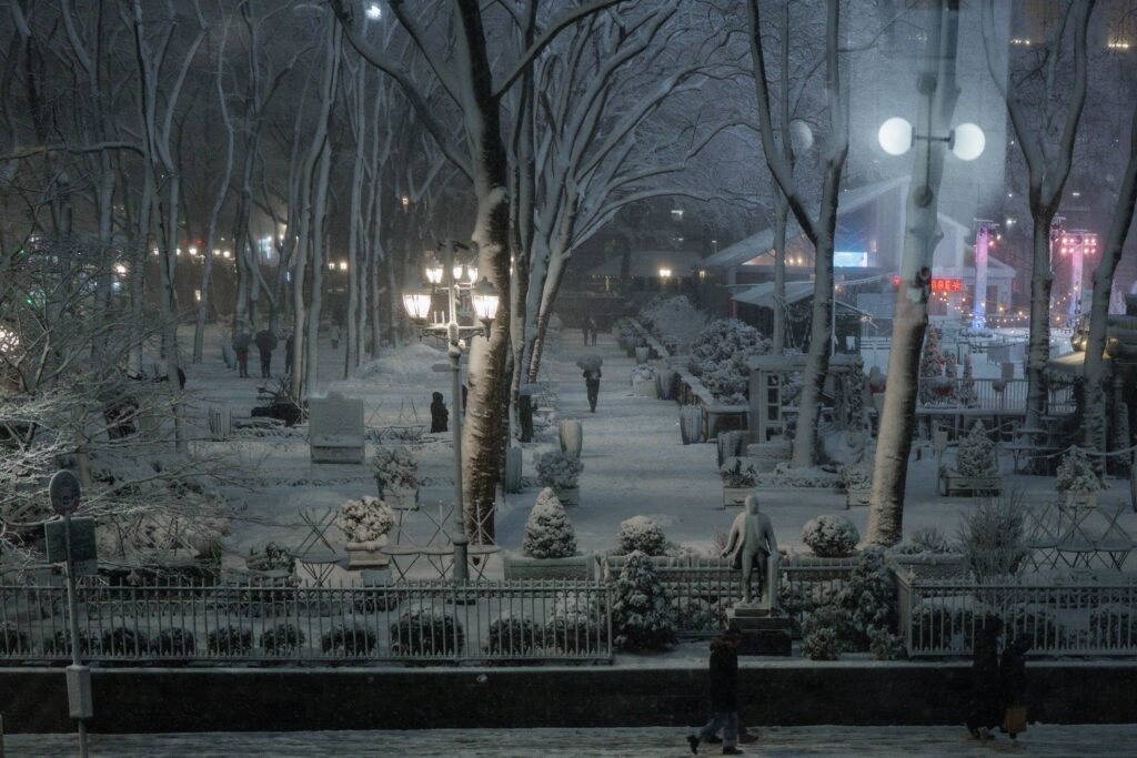 neve new york