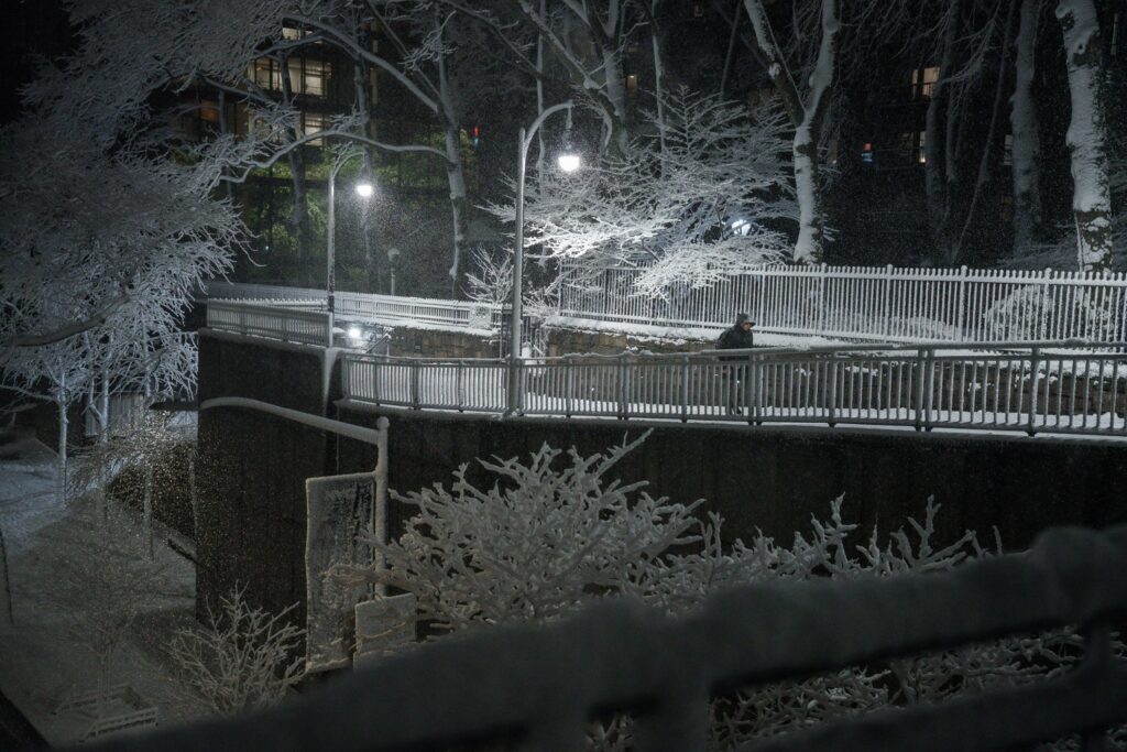 neve new york