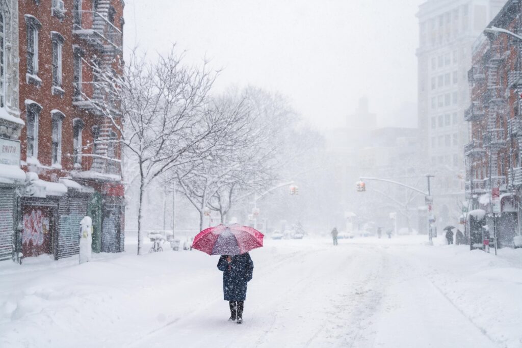 neve new york blizzard